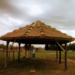 IMG-20210702-WA0041