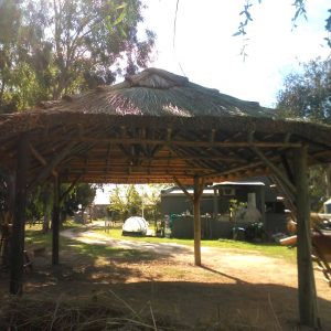 IMG-20210702-WA0058