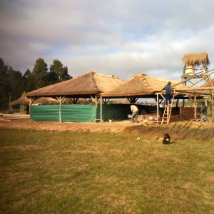 IMG-20210702-WA0063