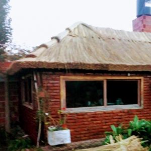 IMG-20210702-WA0064