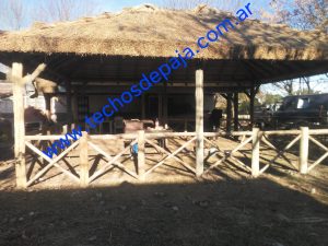 IMG-20220703-WA0027