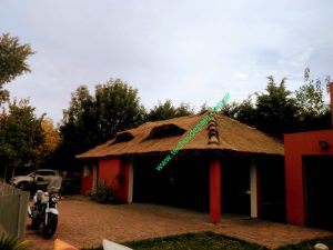 IMG-20220703-WA0041