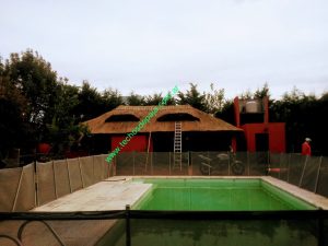 IMG-20220703-WA0042 (1)
