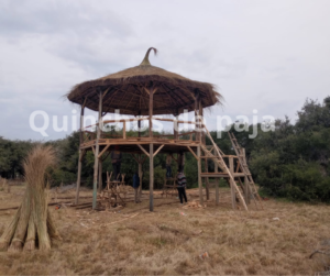 Quinchos de paja