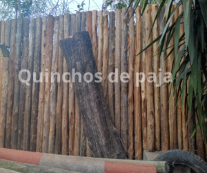 Quinchos de paja (10)