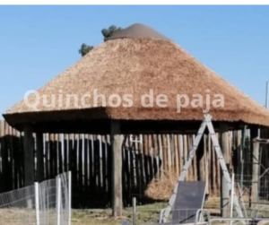 Quinchos de paja (13)