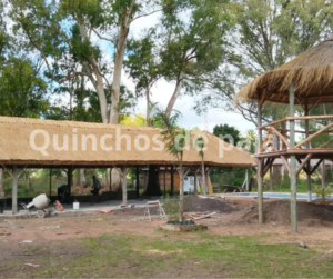 Quinchos de paja (20)
